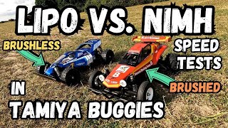 Lipo vs NiMH Tamiya Buggies Speed Tests Terra Scorcher vs Hornet brushless vs brushed [upl. by Navillus498]