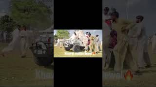 Dhani Bull race accident jalsa bull foryou viralvideo fypシ dhanibulllovers trendingvideos [upl. by Stephi279]