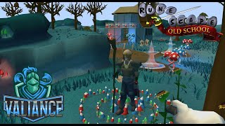 HCIM Fairytale II  Cure A Queen E8S4 [upl. by Ahsenad]