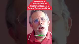 Desafios e Dificuldades da Implementação da Renda Básica no Brasil shorts [upl. by Ogata448]