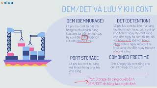 Thế nào là DEMDETPort Storage ICD Phần 1 [upl. by Annait]