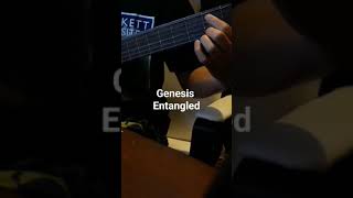 Genesis  Entangled acousticguitar genesis genesiscover genesisentangled [upl. by Eille]