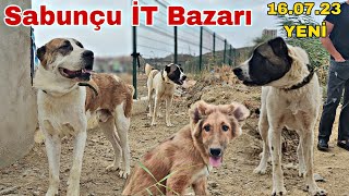 Sabunçu İT Bazarı 16 iyul 2023 mubarizemintv2271 [upl. by Merci985]