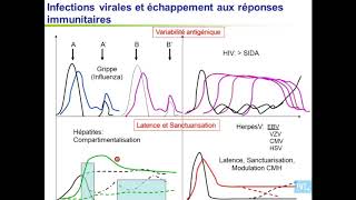 immunité antivirale partie 3 [upl. by Kellia524]