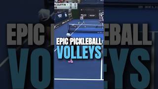 Epic Pickleball Volleys [upl. by Gage131]