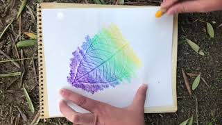 How to make a Leaf Rubbing with Crayons [upl. by Aehcsrop]