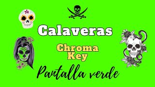 Efecto calaveras animadas pantalla verde  chroma key  green screen [upl. by Idette]