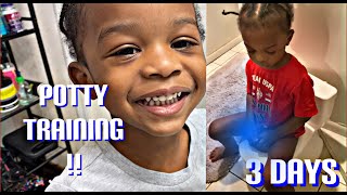 How to Potty 🚽 Training A Two Year Old toddler  3 day Or less [upl. by Teeter562]