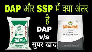 SSP vs DAPsingle super phosphate and diammonium phosphate fertilizer [upl. by Ewall]