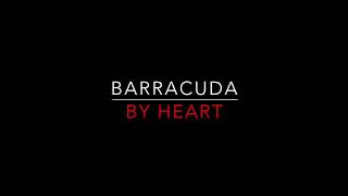 Heart  Barracuda 1977 Lyrics HD [upl. by Cid282]