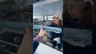 Cleaning The Boat Windows In Sync Is My Favorite Part Of The Morning Routine  Boat Life Deckhand [upl. by Ecirtac731]