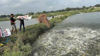 Amazing fishing video  Traditional fishing by Village Fisherman  Best fishing video fish fishing [upl. by Amorette667]