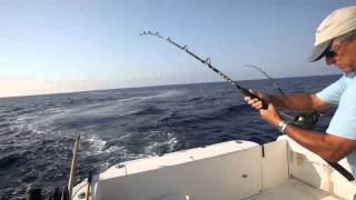 Big Wahoo Strike on the surface bait [upl. by Yellek]