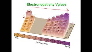 Using Electronegativity to Determine Bond Polarity [upl. by Joline]