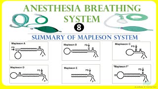 Mapleson system summary  Anesthesia breathing system [upl. by Evalyn]