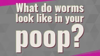 What do worms look like in your poop [upl. by Nylaehs189]