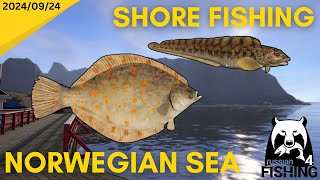 Surprising SILVER fishing from SHORE Russian Fishing 4 [upl. by Eimmas]