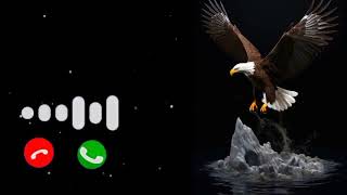 Ooo Main Ta Dargi Sms Ringtone Message Ringtone New Message Tone Funny AlarmRingtone 2024 [upl. by Gilberto]