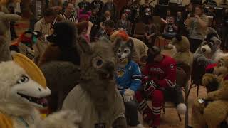 Rainfurrest 2013  Fursuit Games IV  56 [upl. by Aelhsa]