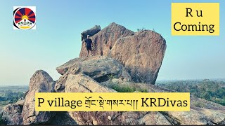 P village གྲོང་སྡེ་གསར་པ།།། KRDivas Lharden77 ​ tibetan tibetanvlogger youtube india [upl. by Acilejna]