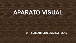 APARATO VISUAL [upl. by Dorothi]