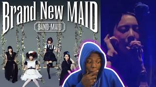 BAND MAID  Day Dreaming official music video amp Freedom live performance  first time reaction [upl. by Imotas8]