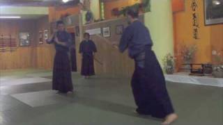 Katori Shinto 1° Kata Kenjutsu [upl. by Rika]