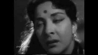 GAA MERE MAN GA  ASHA BHOSLE  MAJROOH SULTANPURI  S D BURMAN  LAJWANTI 1958 [upl. by Habeh]