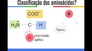 Aminoácidos1 [upl. by Melville465]