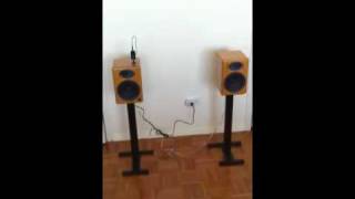 Audioengine A5 bamboo speakers [upl. by Eilatan]