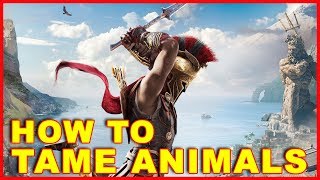 Assassins Creed Odyssey How to Tame Animals [upl. by Ryon649]