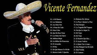 VICENTEFERNANDEZ SUS MEJORES EXITOS LAS 35 GRANDES CANCIONES DE VICENTEFERNANDEZ [upl. by Eramat]