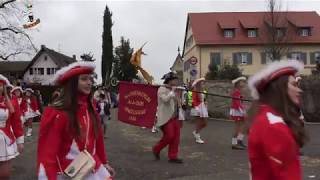 Jubiläumsumzug Narrentage Reichenau 10022019 [upl. by Aicen]