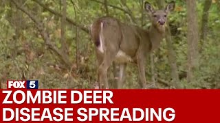 Zombie deer disease is spreading [upl. by Serge]