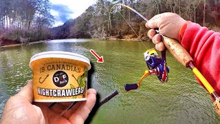 How To Catch BIG Fish With Worms From Walmart [upl. by Christis505]