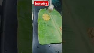 Andhra meals Southindian food lovesubscribe to success [upl. by Hinman]