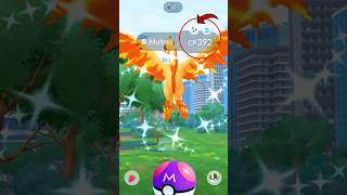 Finally got ✨ Shiny Galarian Moltres in Pokemon GO [upl. by Adelle]