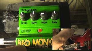 Digitech Bad Monkey Tube Overdrive [upl. by Vola]