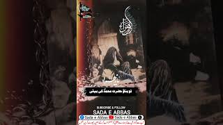 3 Jamadi ul Sani Shahadat Pak Sayeda S A ayamefatimaس sadaeabbas sindhibrothers [upl. by Forster]