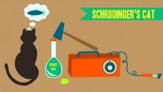 IDTIMWYTIM Schrodingers Cat [upl. by Ahsier]