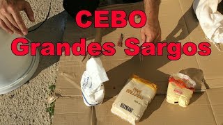 Iniciación corcheo mar como hacer Cebo para pescar Grandes Sargos Fácil y económico [upl. by Anelaj]