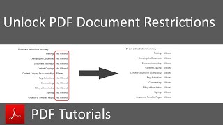 Disable Document Restrictions in PDF [upl. by Tallbott351]