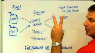 Are You A Sugar Burner Or Fat Burner With Exercise [upl. by Allerym]