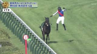 2024年 新潟記念 ライトバック走らずお家へ帰ります 競馬 競馬予想 新潟記念 ライトバック 放馬 [upl. by Eissalc]