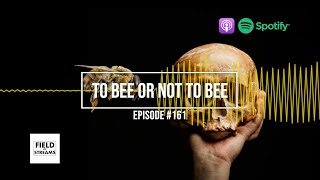 quotTo Bee or Not to Beequot  Field of Streams Podcast [upl. by Deb180]