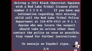 Minnesota Statewide Amber Alert [upl. by Melloney]