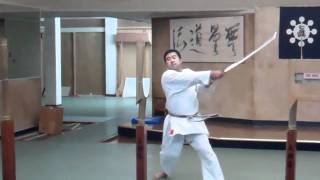 Yukishiro Obata Shinkendo Inazuma practice [upl. by Burkhard]