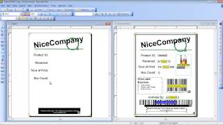 NiceLabel Pro  Label Design Training Video [upl. by Nassi]