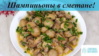 Шампиньоны в сметане Вкусно и быстро [upl. by Harrell]