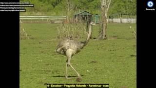 Discover Belén de Escobar Buenos Aires Argentina [upl. by Ykceb]